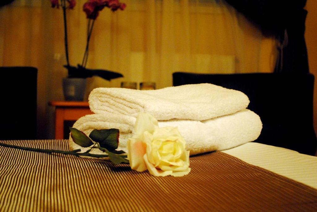 Hotel Vandia Temesvár Kültér fotó
